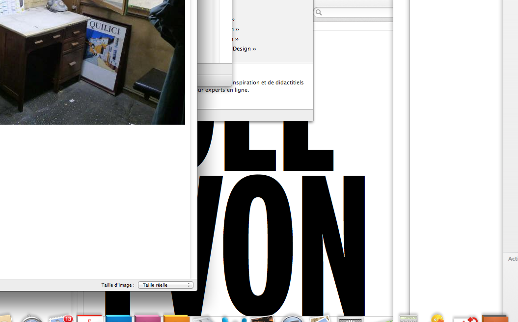 2013 shannon design dept. : joël yvon design typographique du documentaire delta du nile